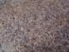 Photo Number 182